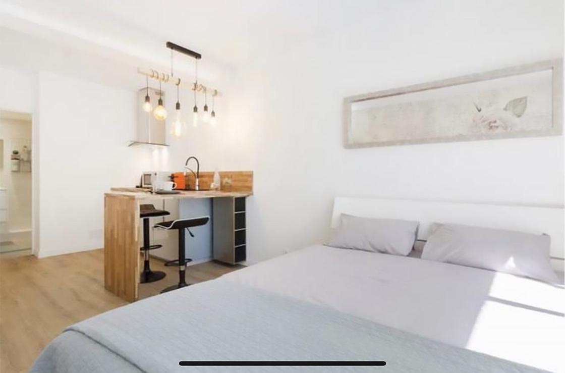 Appartement Hypercentre Toulouse Dış mekan fotoğraf